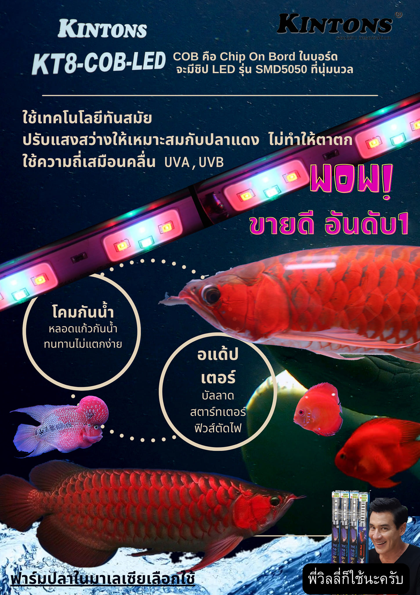 หลอดไฟ T8 COB LED red ️ • ใช้หลอดแก้วที่ทีคุณภาพสูงทนทานไม่แตกง่าย ...