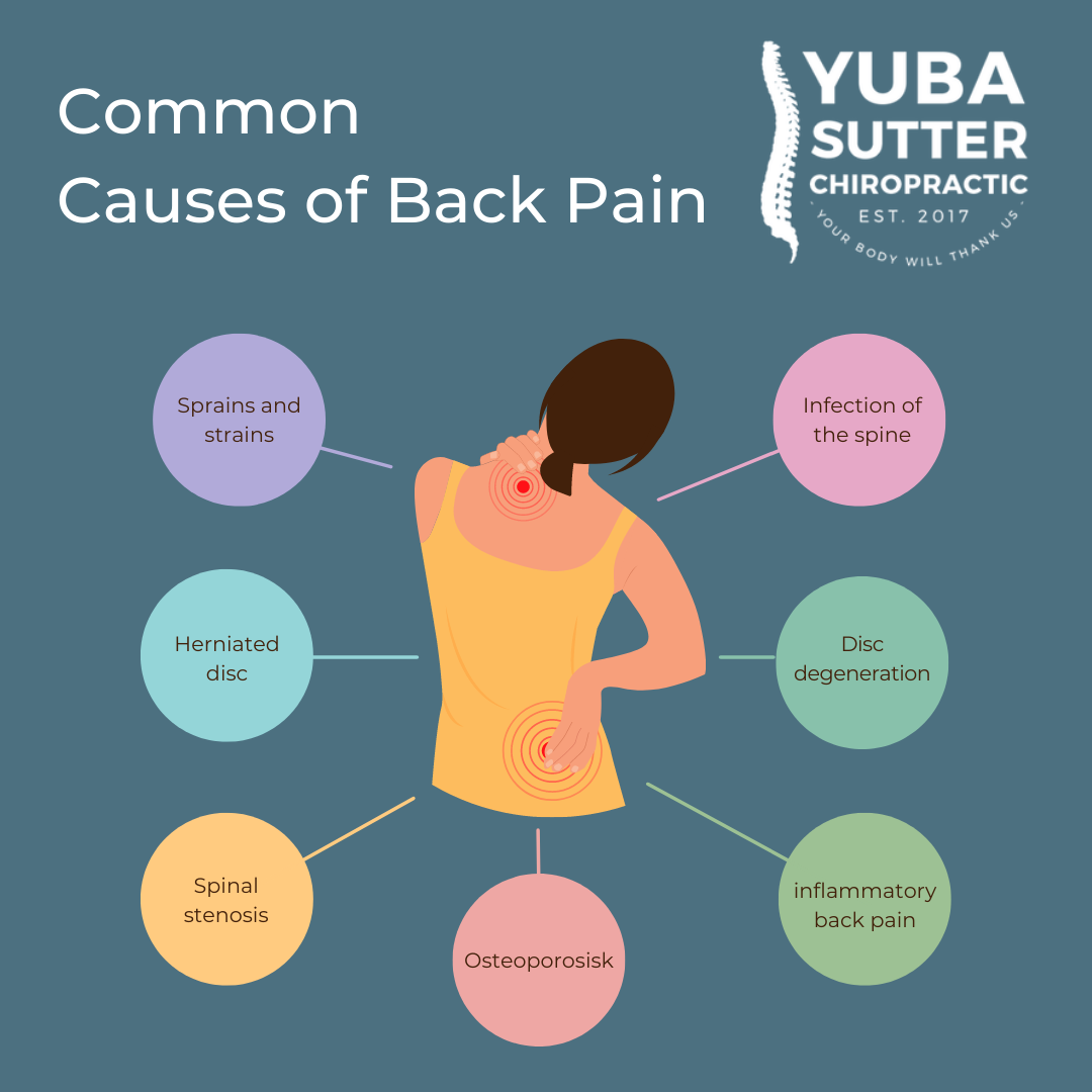 Yuba - Common back pain symptoms include spinal stenosis, disc ...
