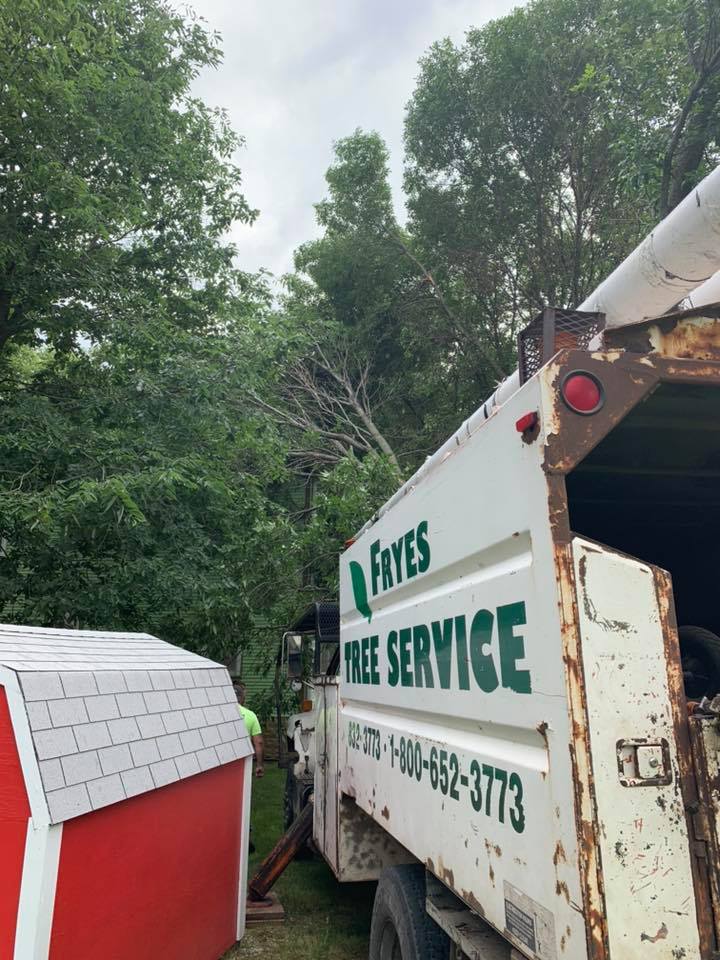 Frye's Tree Service | Webster City IA