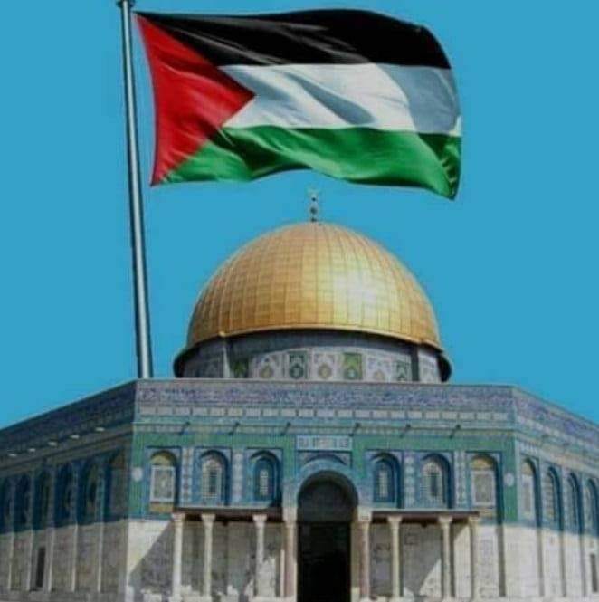 نها الشحات