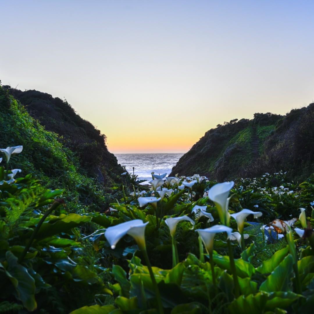 Ryan Ranch Printers | Monterey CA