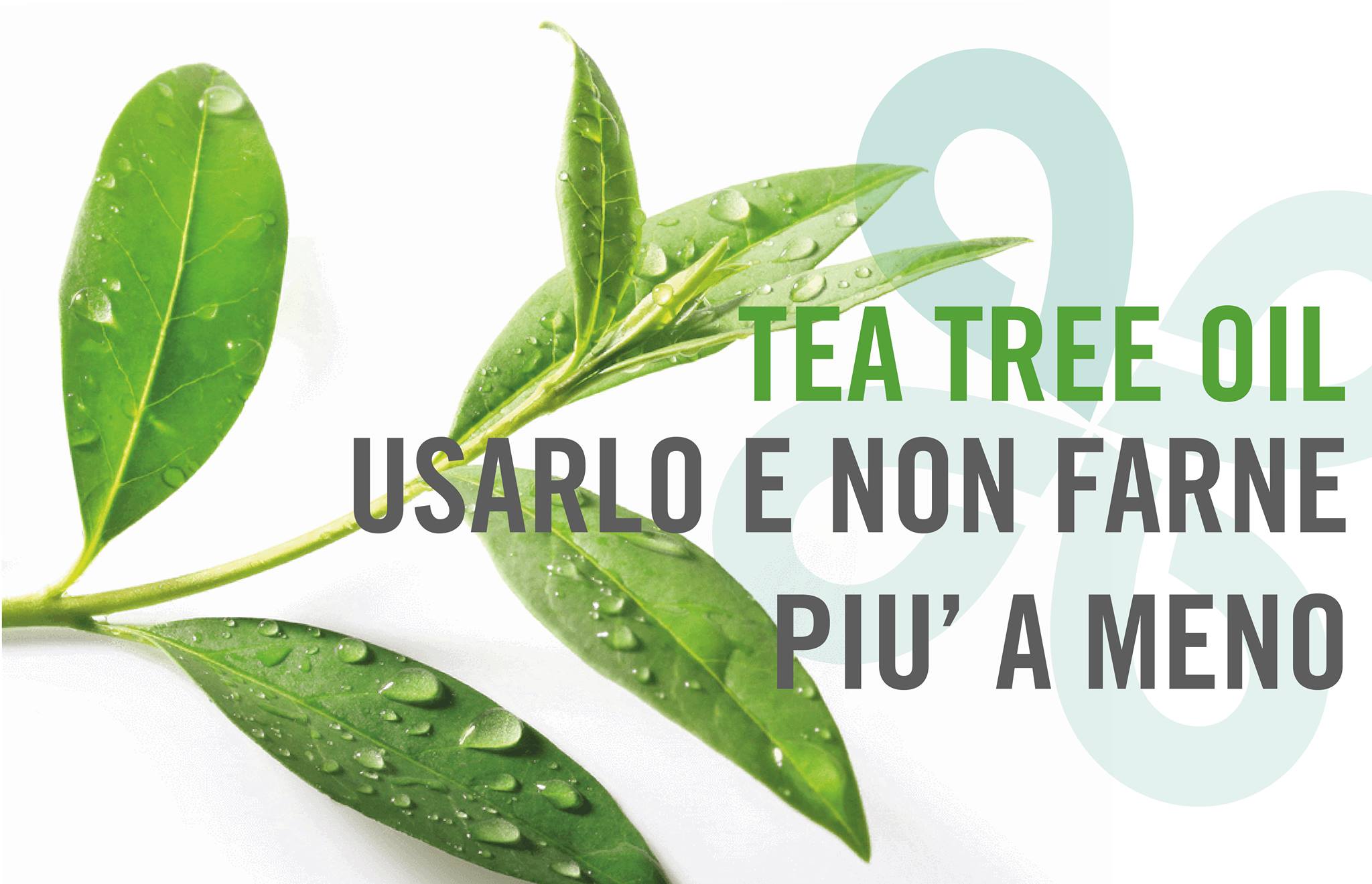 Sono molteplici gli usi del tea tree... - Farmacia Damilano