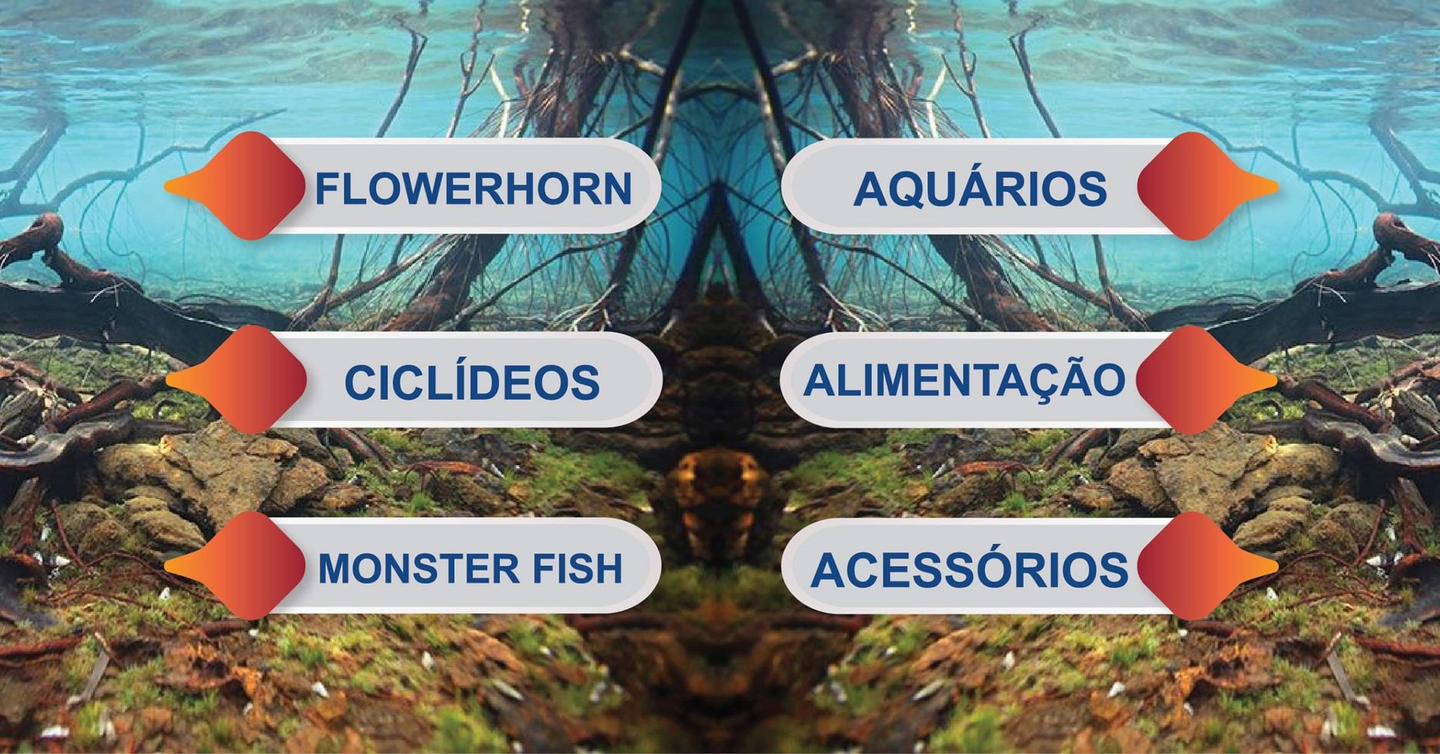 Fish With Style