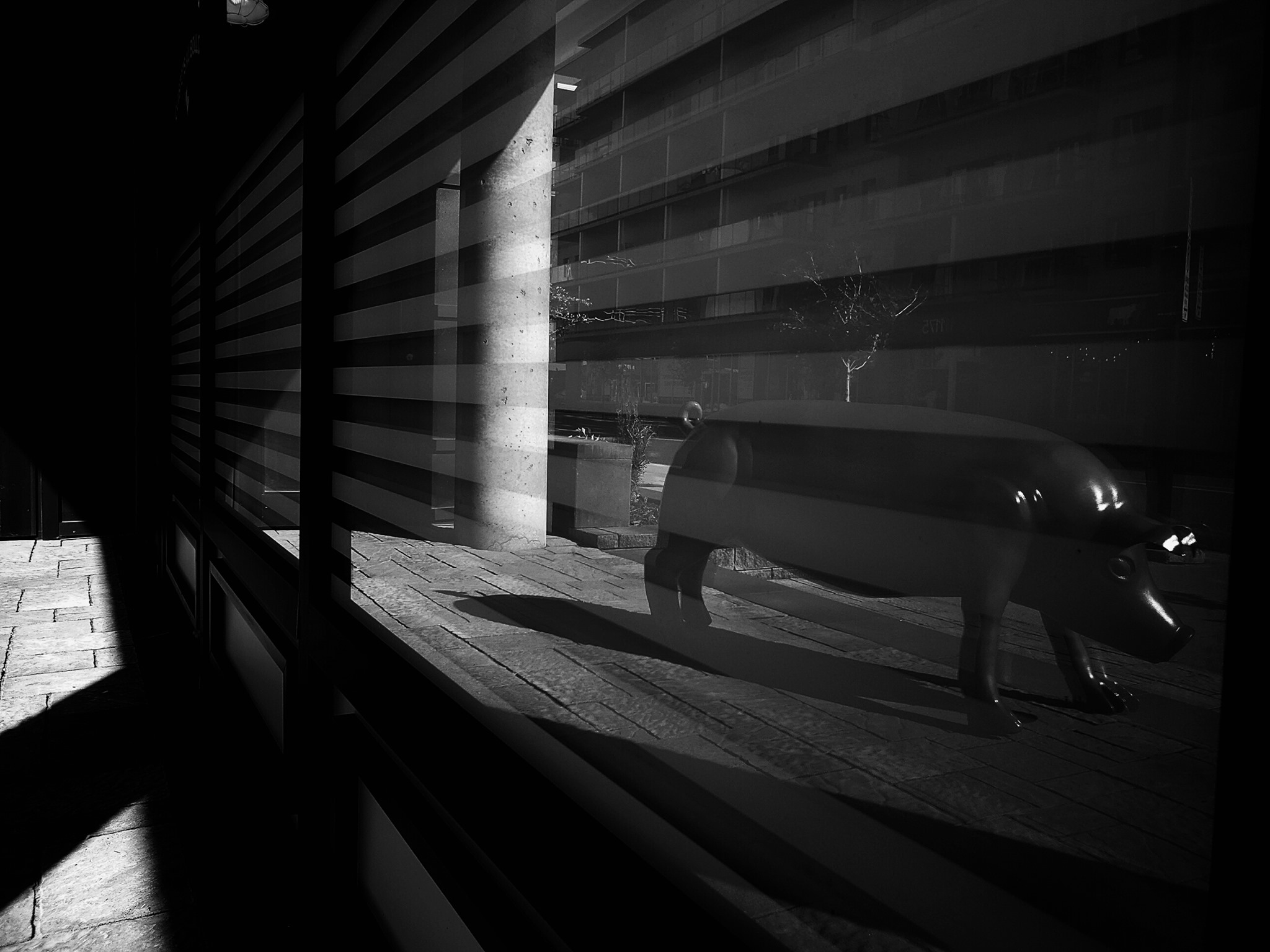 Payal Razdan Photography