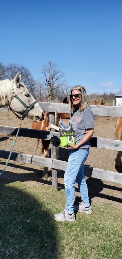 Timberline Ranch Trail rides and horse rescue | Detroit Lakes MN