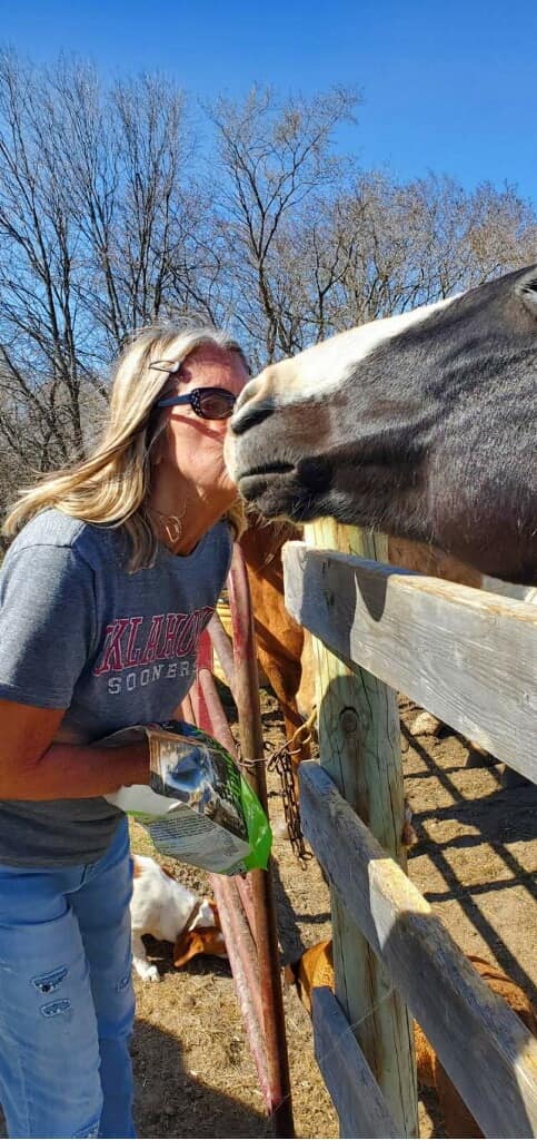 Timberline Ranch Trail rides and horse rescue | Detroit Lakes MN