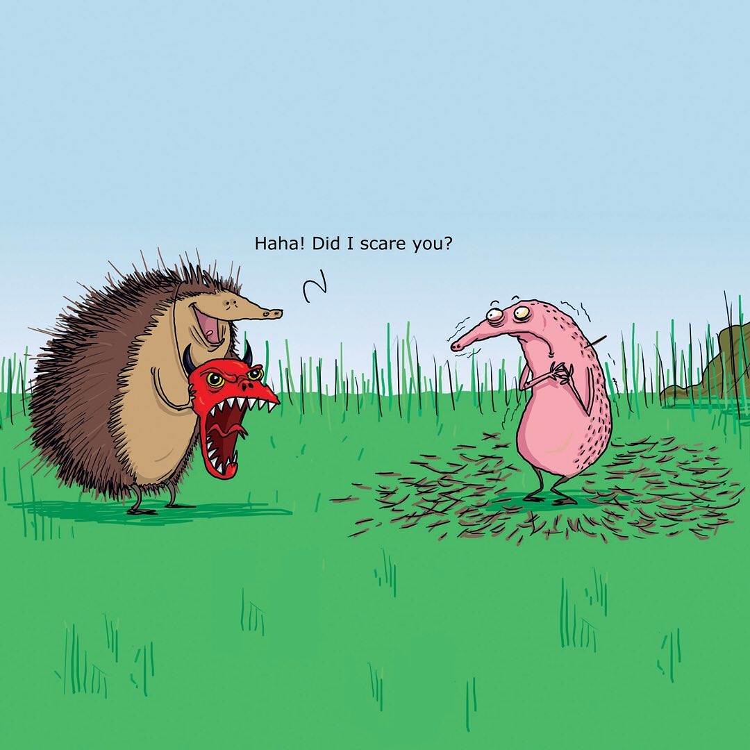 Redback Cards - Scared shitless 😂 #humor #humour...