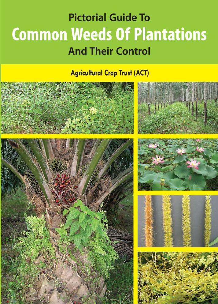 Malaysian... - Malaysian Sustainable Palm Oil - MSPO