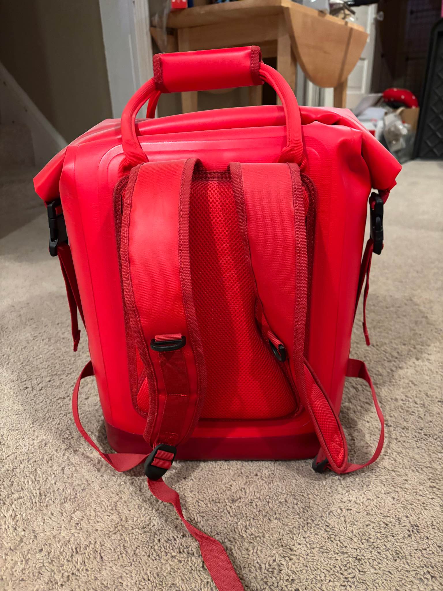 Target and Hunter collab picnic backpack - Backpacks - Minneapolis ...