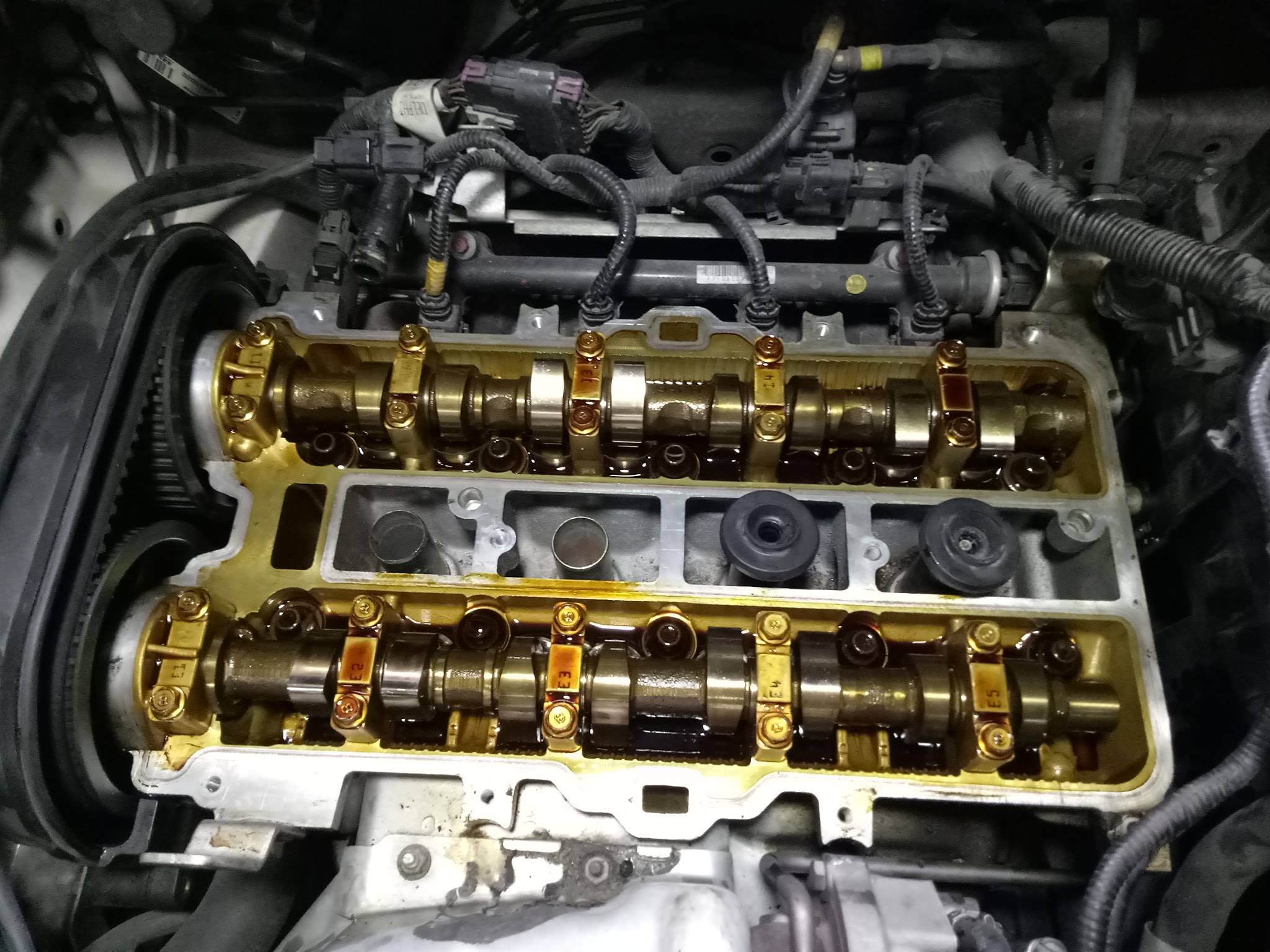 Jtx1000 - Serah Jtx Gold 4Ltr x 2 pada bro Donald George utk kegunaan ...