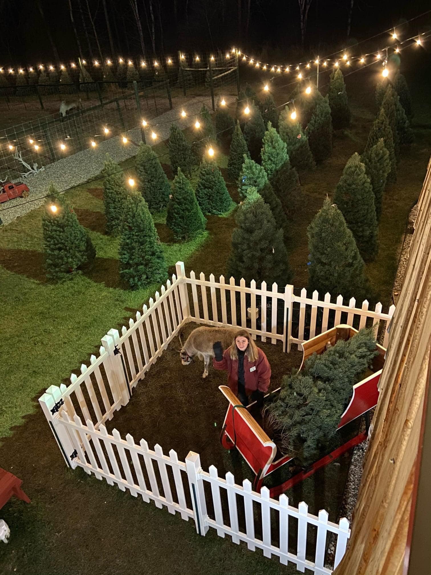 When you buy a Christmas... - Rooftop Landing Reindeer Farm