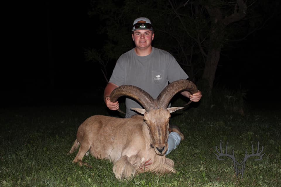 J Bar J Ranch | Clarendon TX