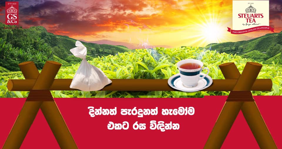 #steuartstea #rosakahata #tea - George Steuart Teas | Facebook