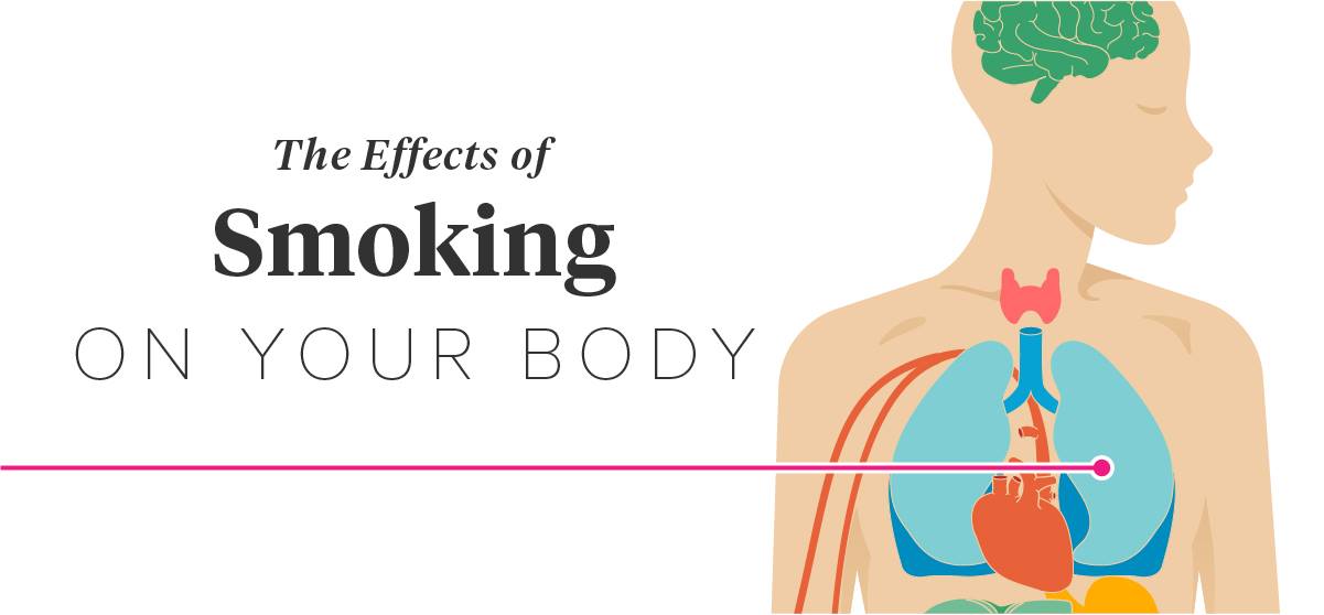 No matter how you smoke it,... - Proactive Lifestyle Limited