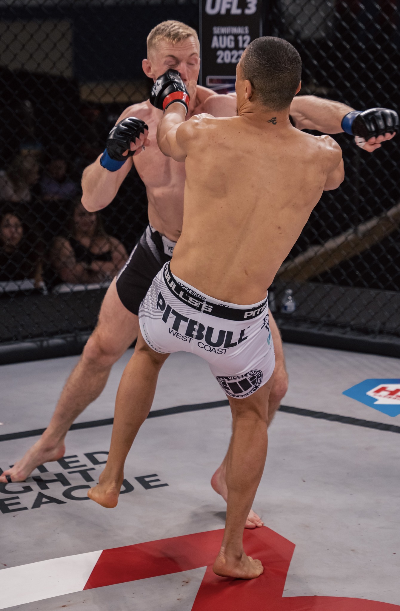 Ashley 'The Beast' Reece was... - United Fight League | Facebook