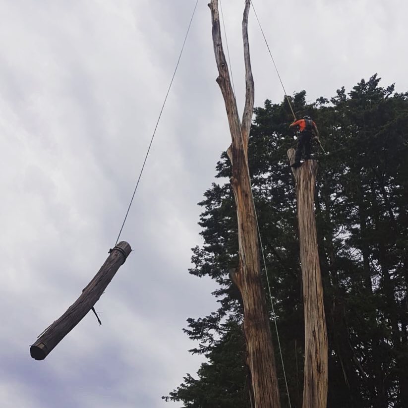 Trav's Tree Services | Melbourne VIC