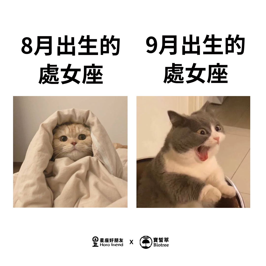 處女座 Virgo - 哇塞差很多 滿滿的梗圖在這邊👇 @wholove_memes... | Facebook