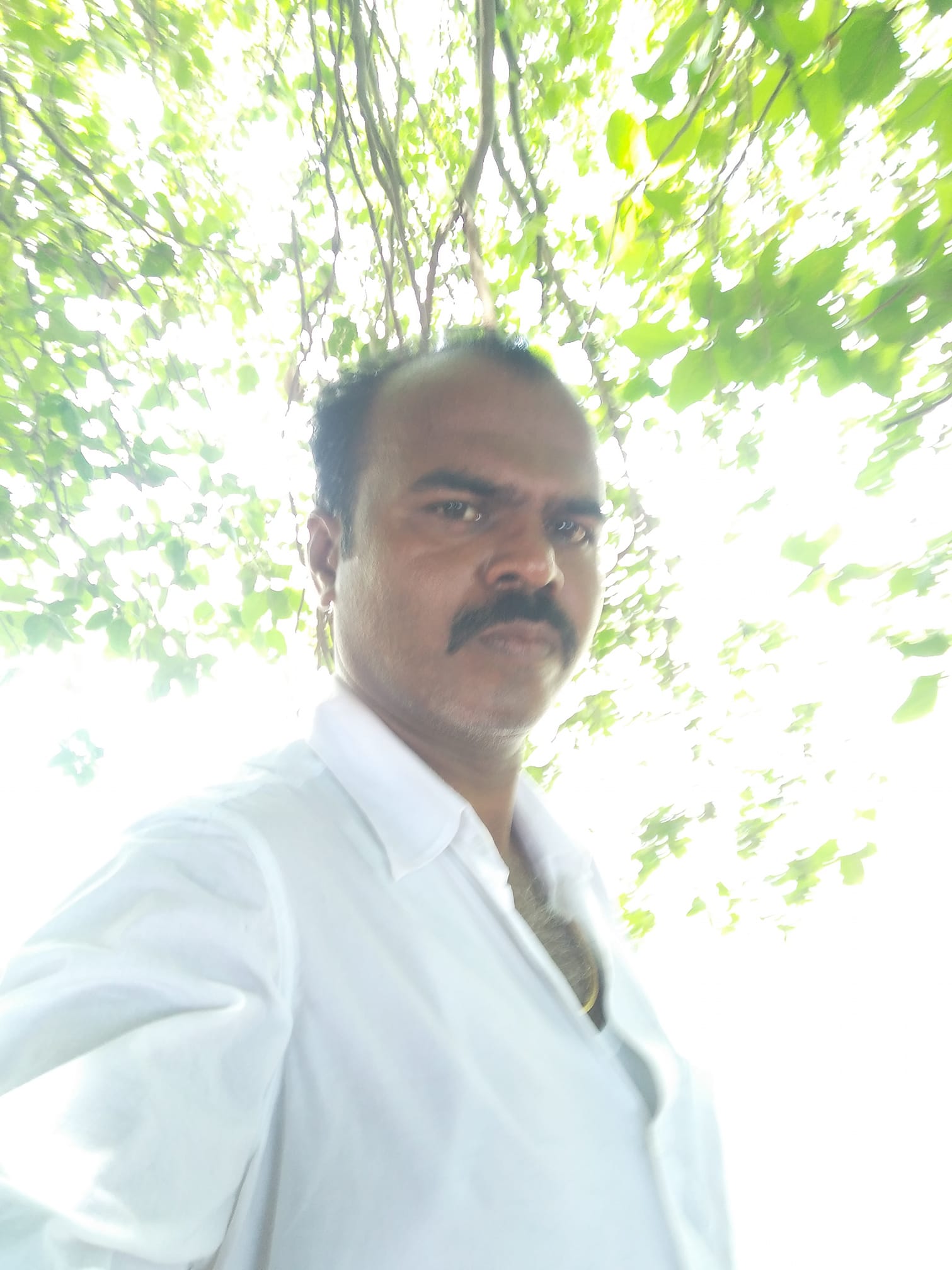 Kumar Kumar