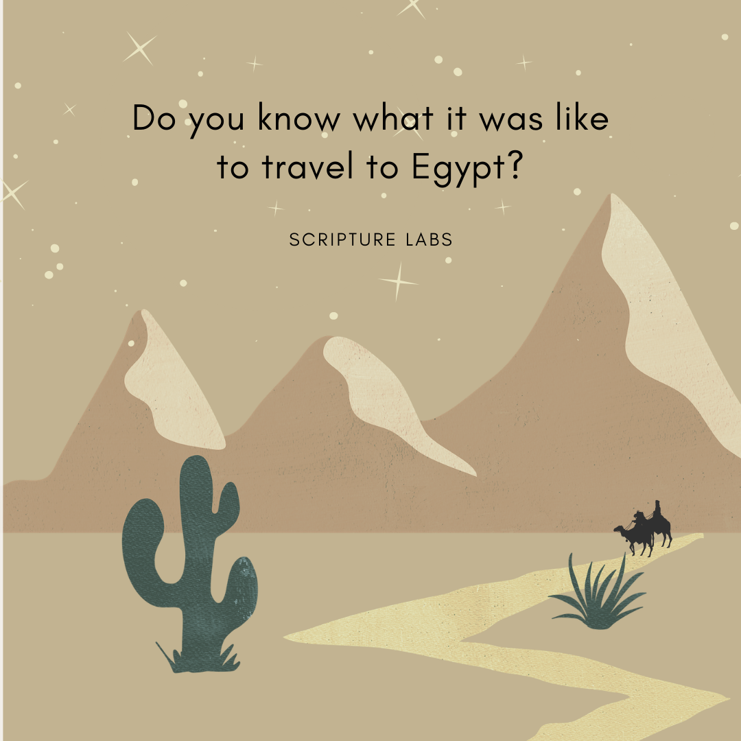 Scripture Labs