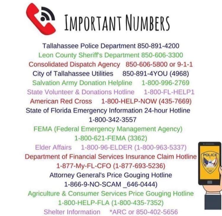 Woodham Insurance Tallahassee FL