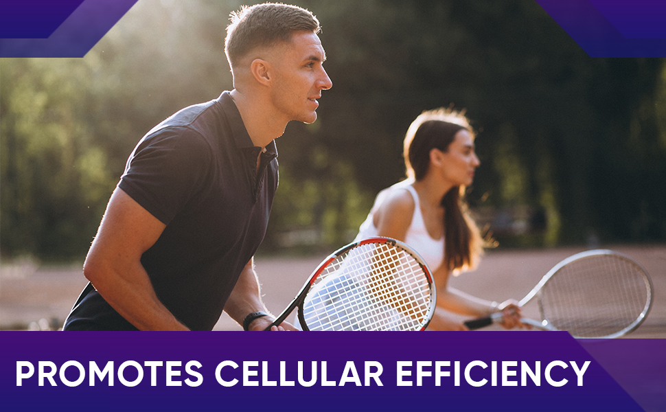 CellSync