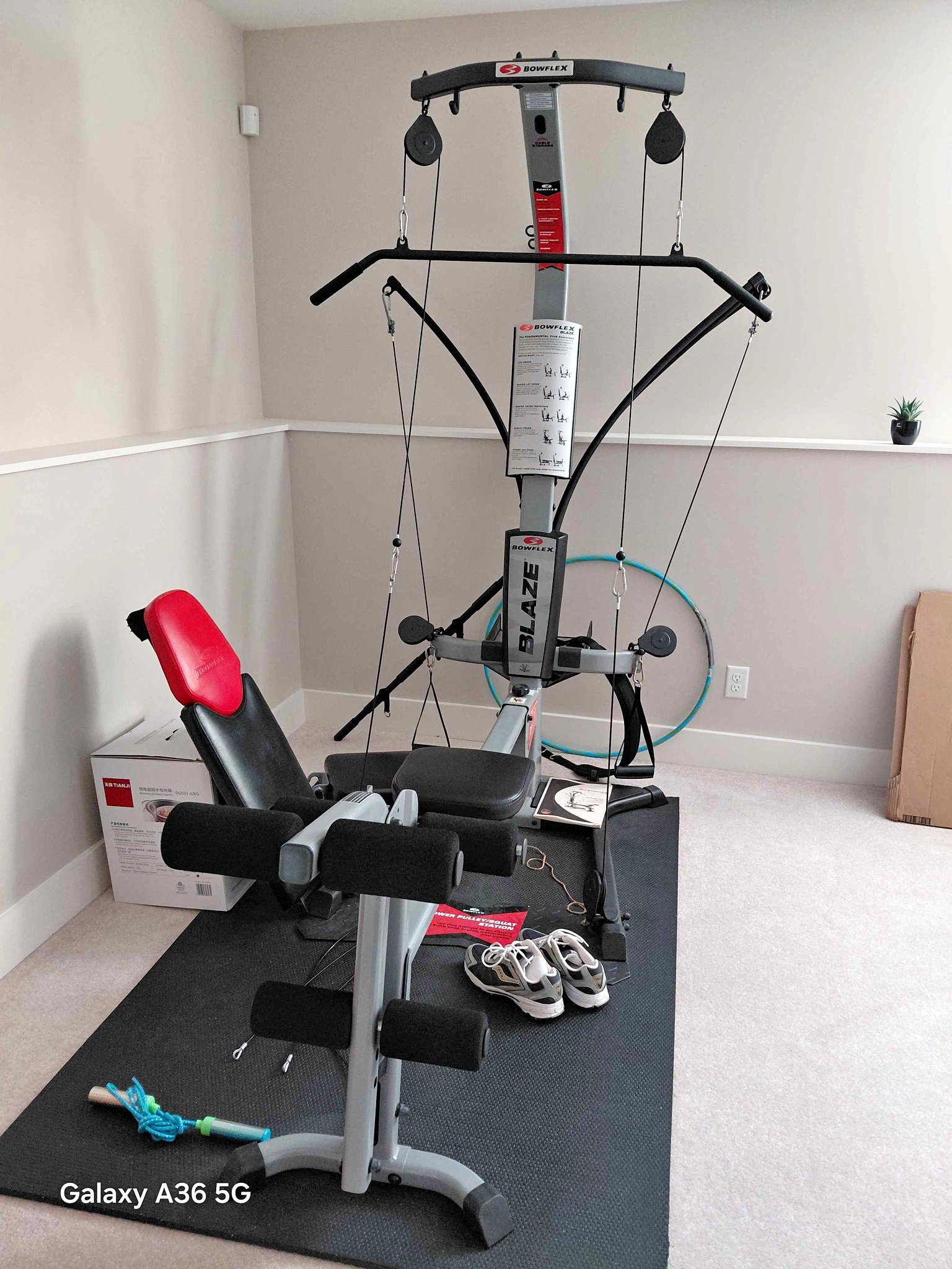 Rogue Fitness Equipment for sale in Halifax, Nova Scotia