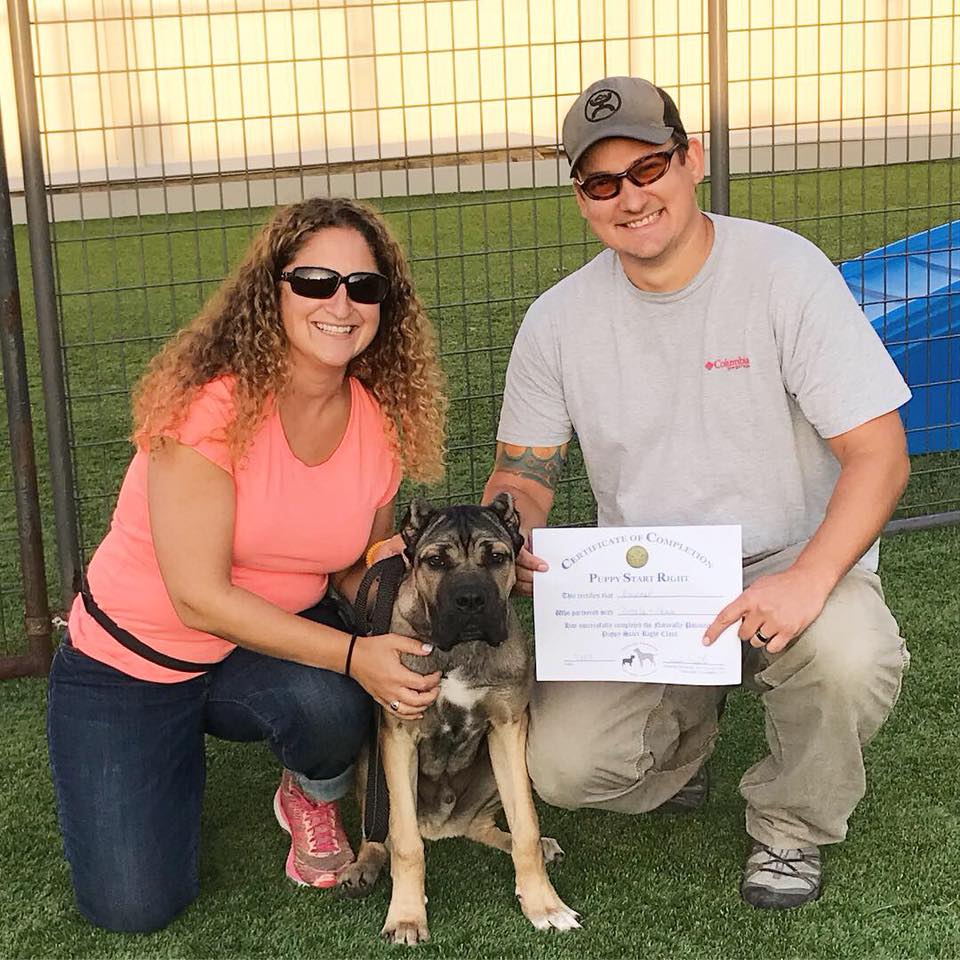 These well-trained dogs graduated... - The Good Dog Spot | Facebook
