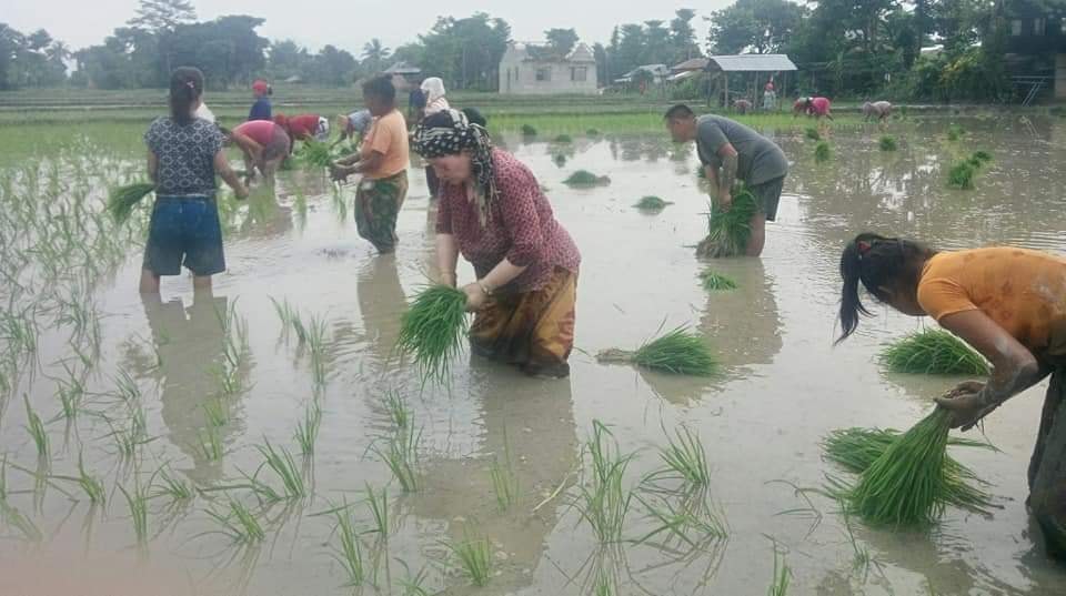 मेरो प्यारो नेपाल - Mero Pyaro Nepal