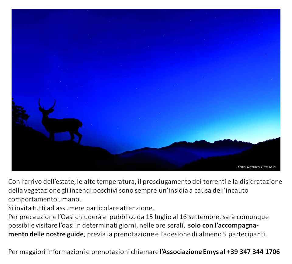 Oasi WWF del Cervo e... - Oasi WWF del Cervo e della Luna
