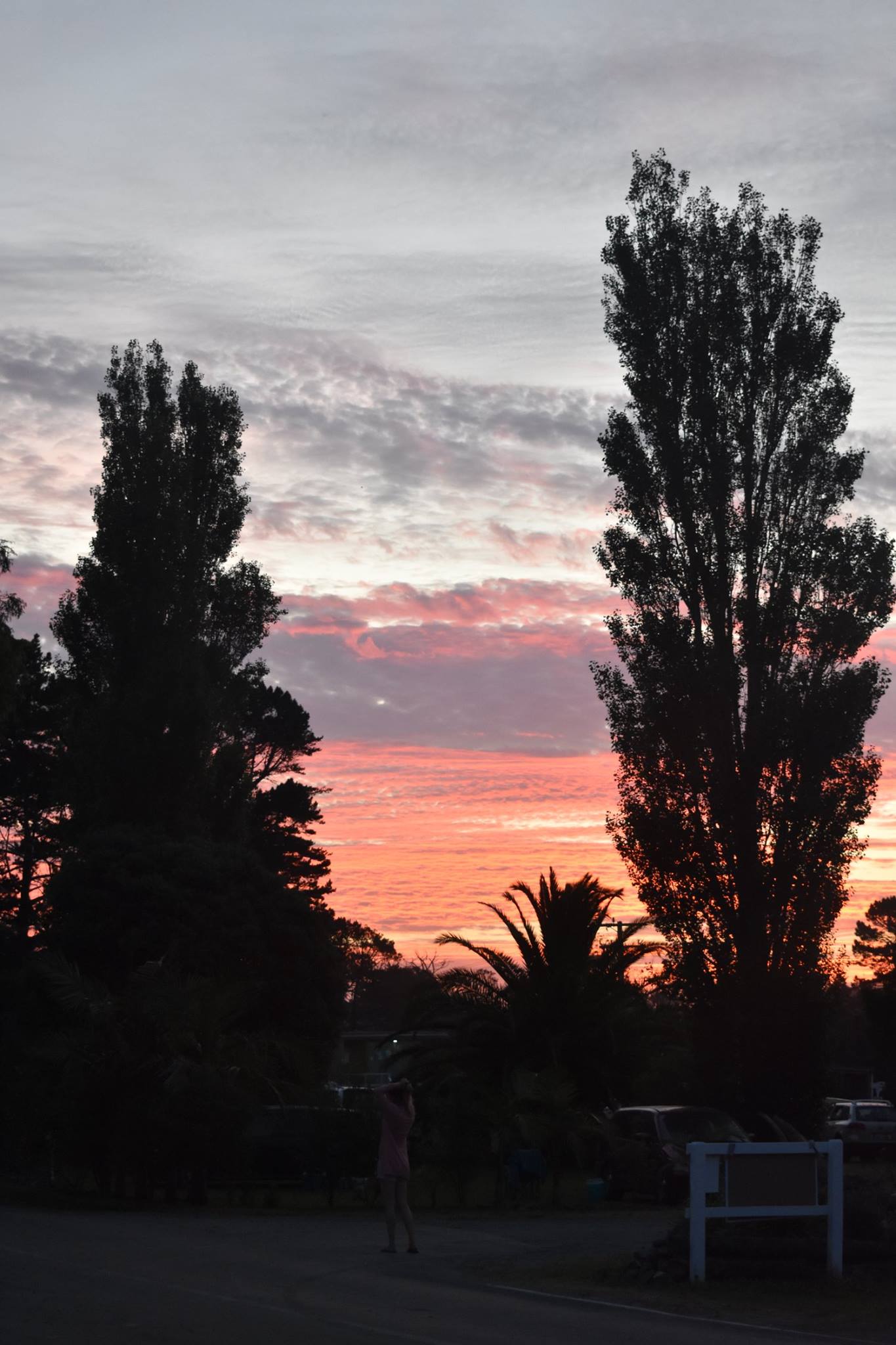 Wagener Holiday Park Houhora Heads Motorcamp Ltd