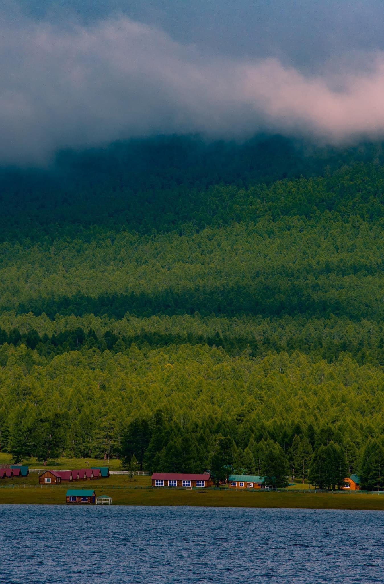 Tergel Erdene