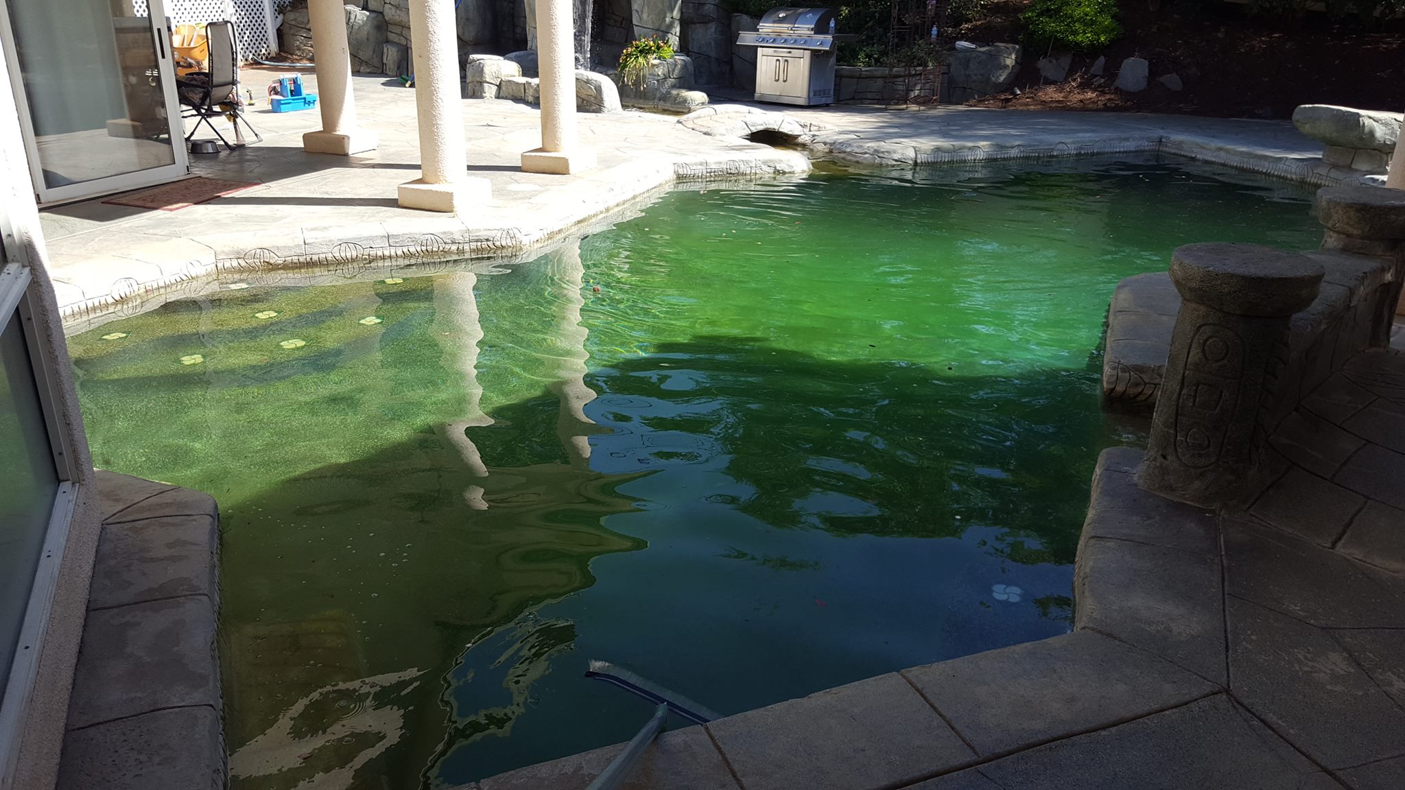 Backyard Pool Services | Springville CA