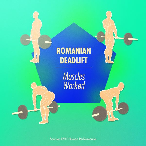 Lifeoilph - The Romanian Deadlift is one of the single...