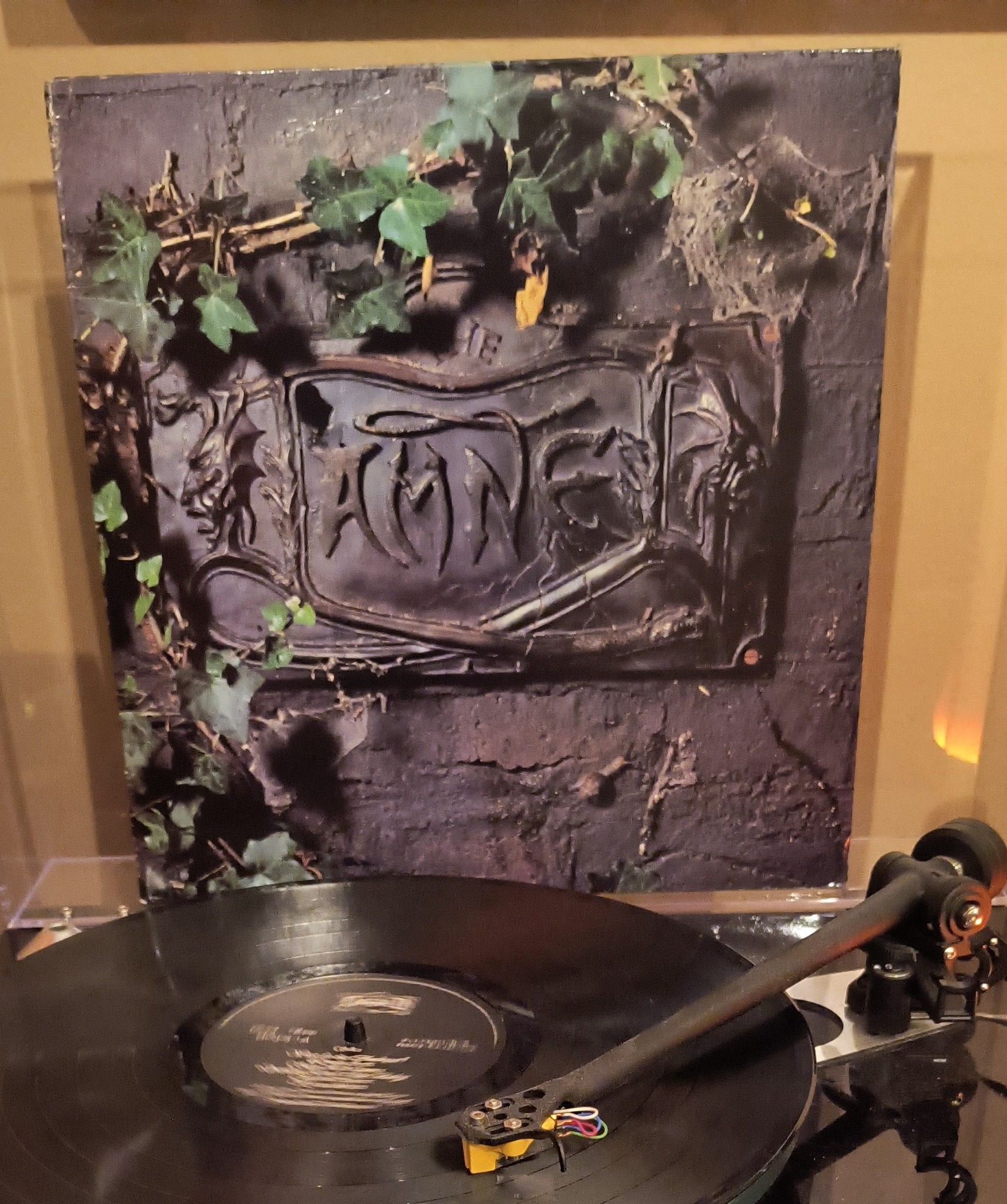 The Damned - Love Song colored etched 12