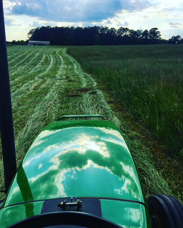 Perry's Hav-No-Gotta Ranch | Rockmart GA