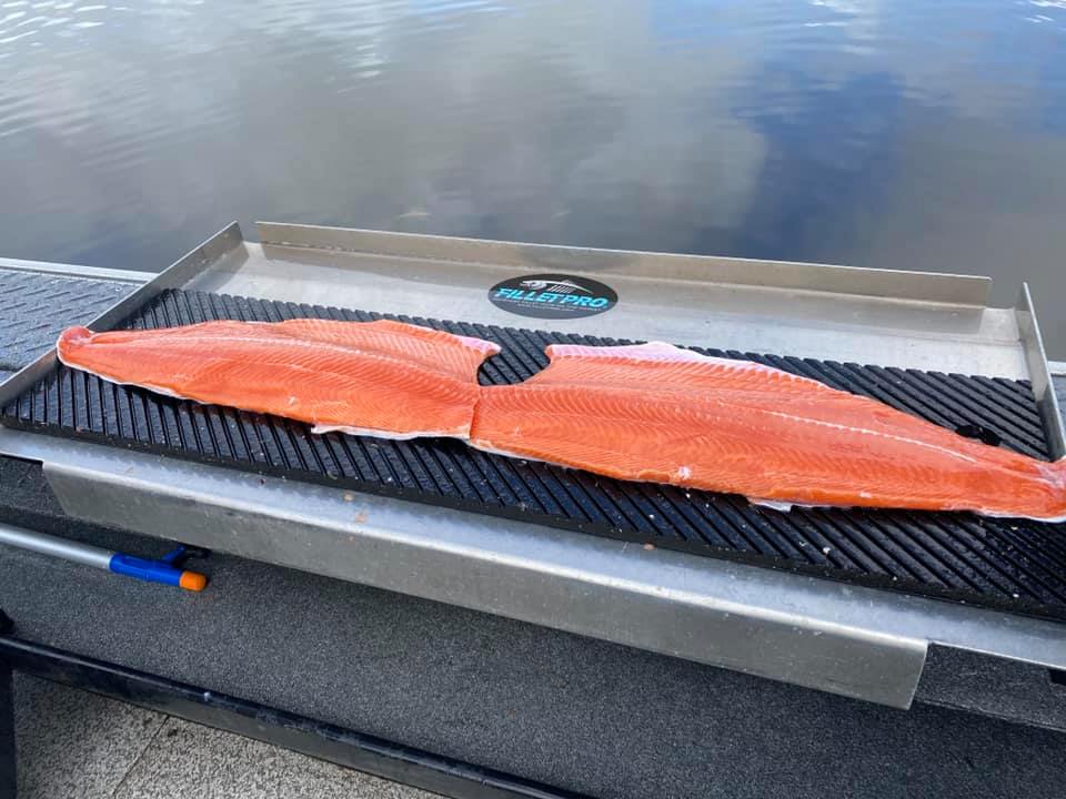Fillet Pro