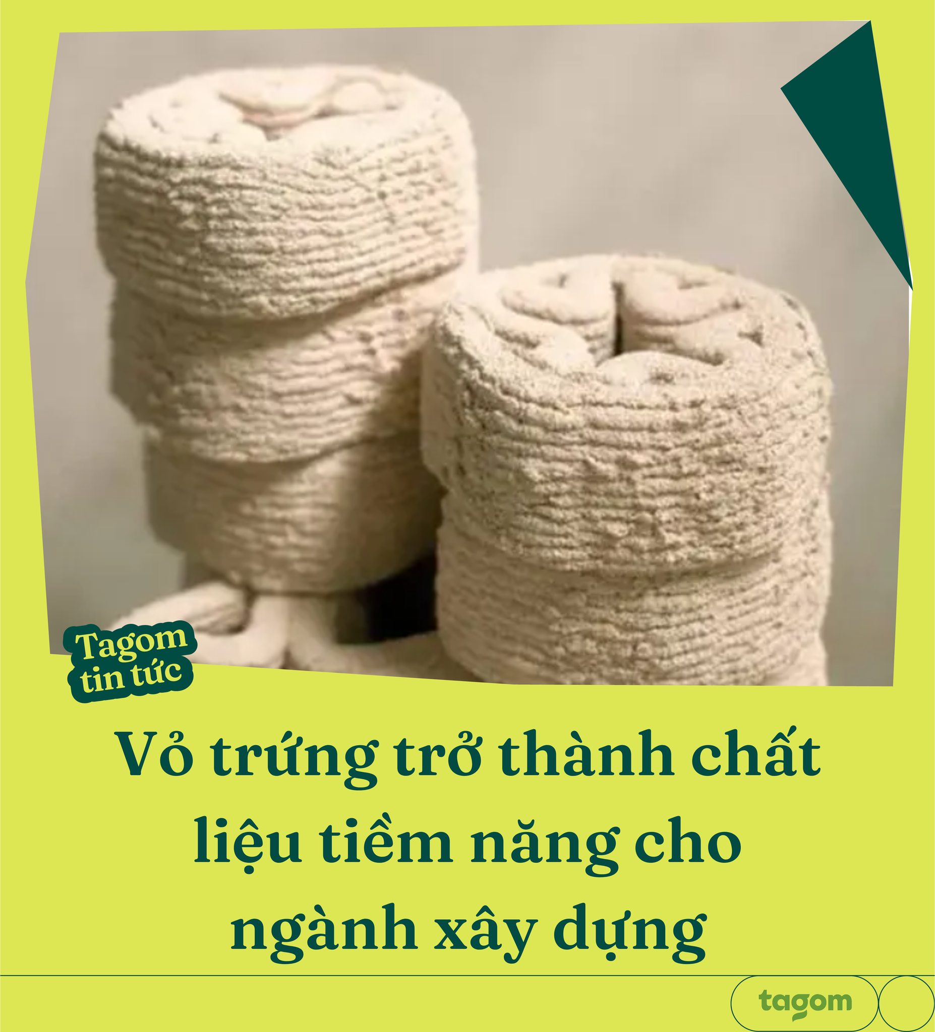 TAGOM - 🧱Gạch từ vỏ trứng - Giải pháp xây dựng xanh🧱...