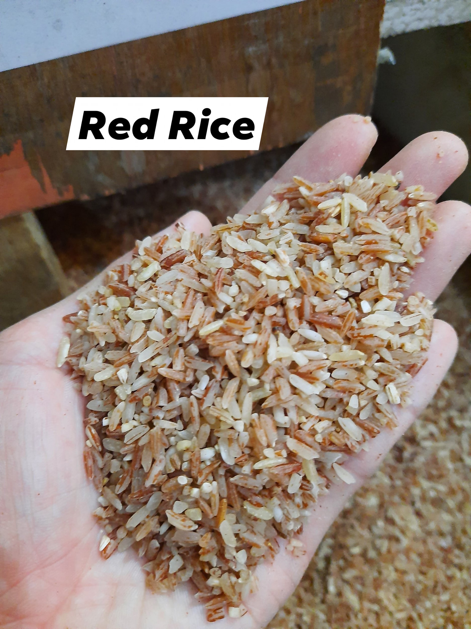 Davao Rice Station | Davao City