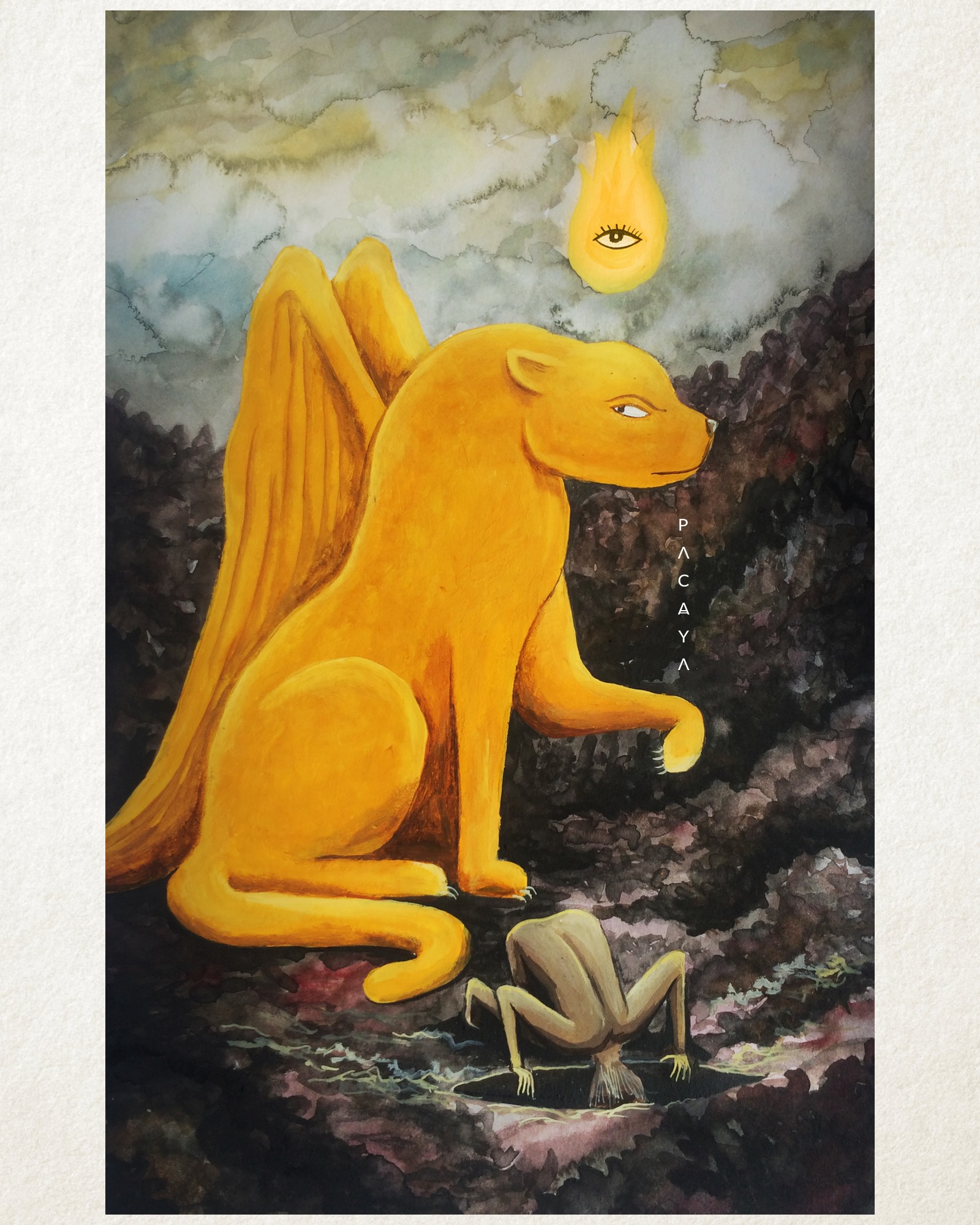 Pacaya - ≈ THE RIDDLE ≈ With patience we finally realise,...