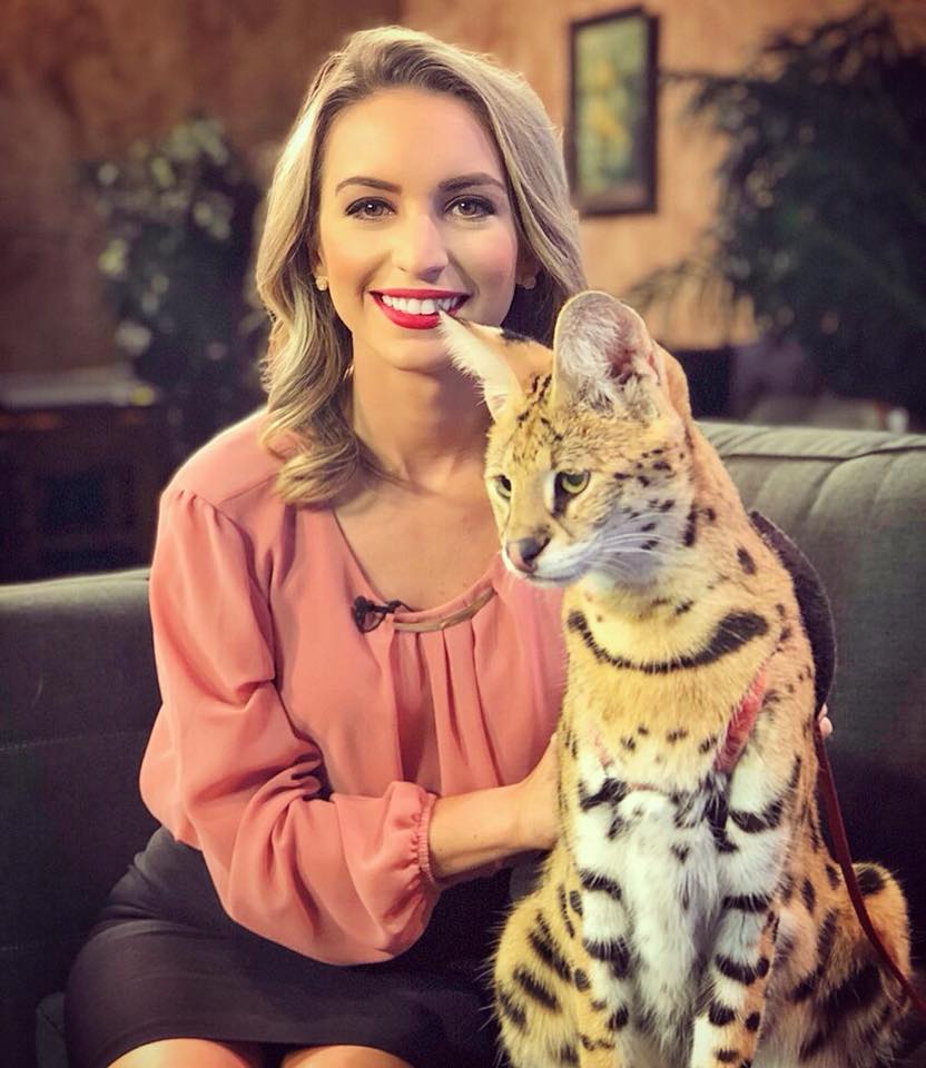Persia, this beautiful serval cat from Zoo of Acadiana, stopped by