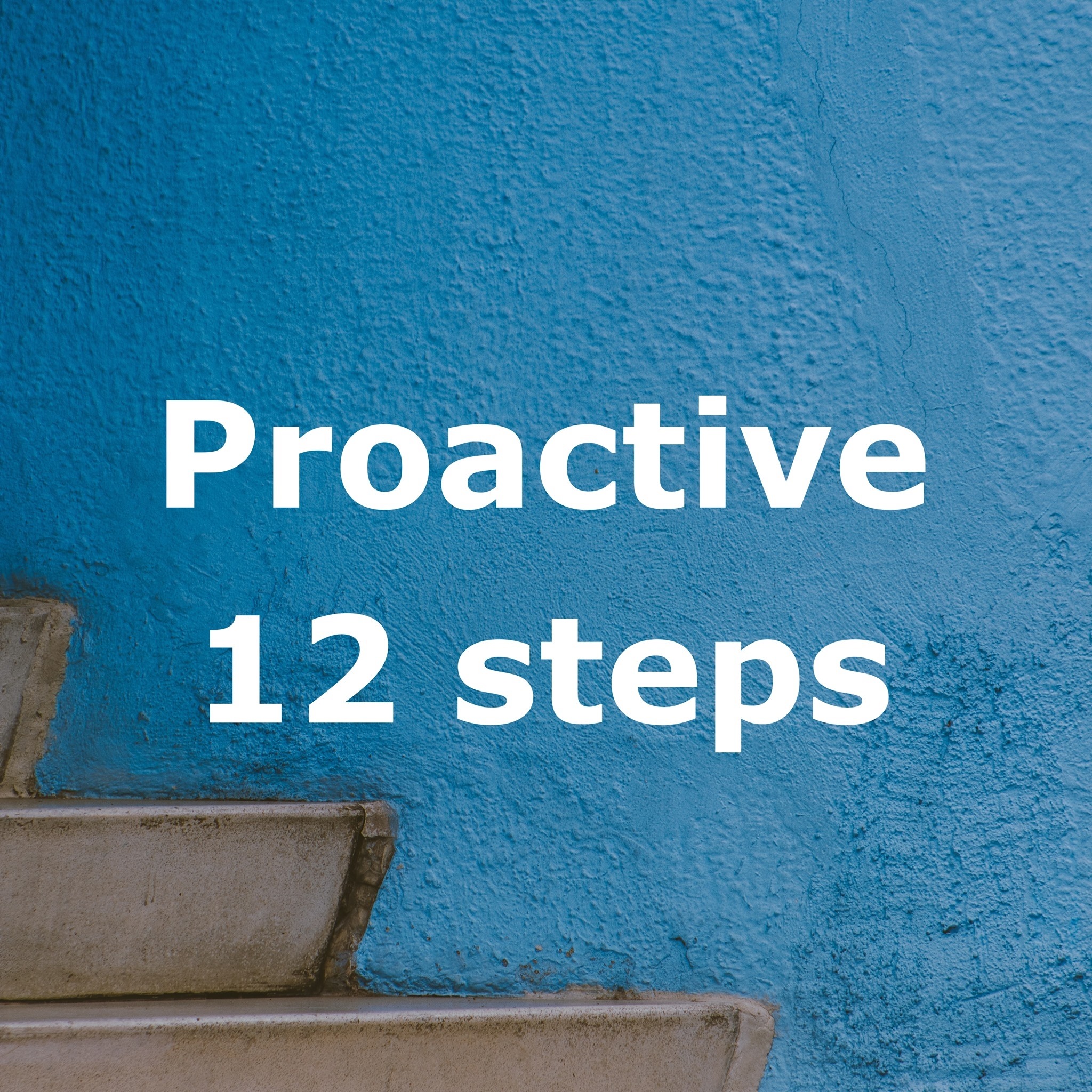 The Proactive Twelve Steps