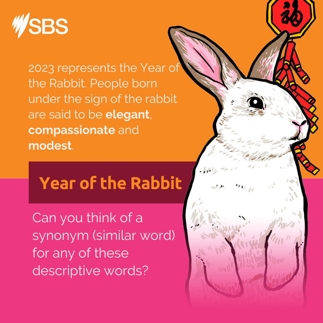 Get ready for the Year of the Rabbit!... - SBS Learn English