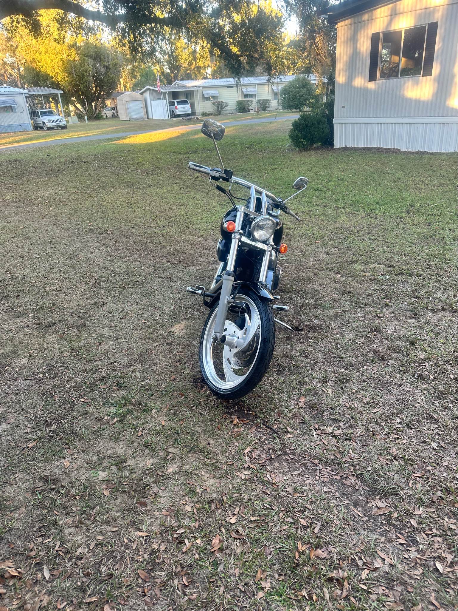 2002 Harley-Davidson Night Train - Motorcycles & Scooters - Ocala