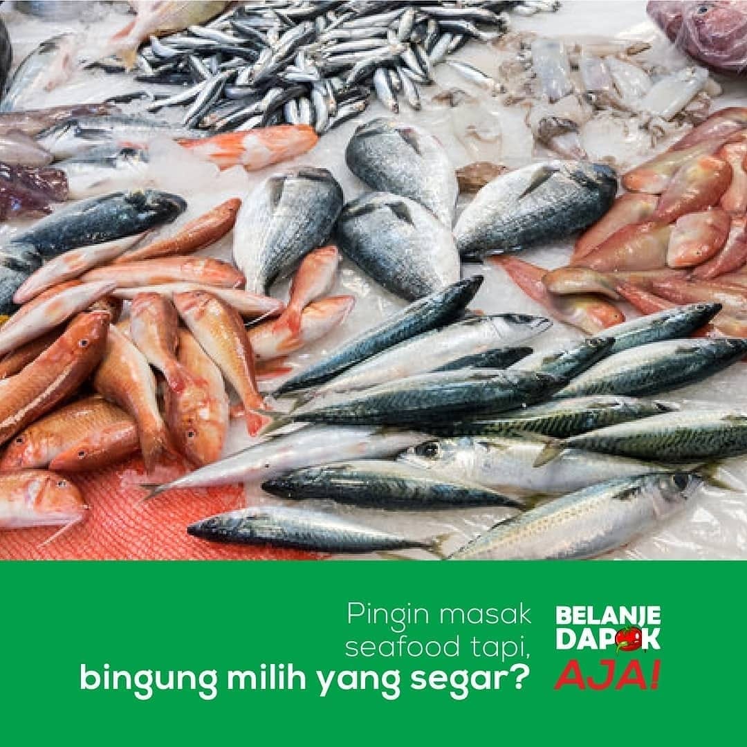 Belanje Dapok - Sore BUNDA... Udah ada rencana buat...