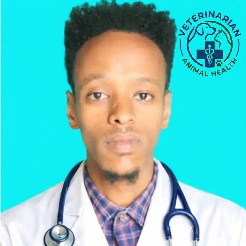 Veterinary & Animal Services | 🧠 Exam Gold | Facebook