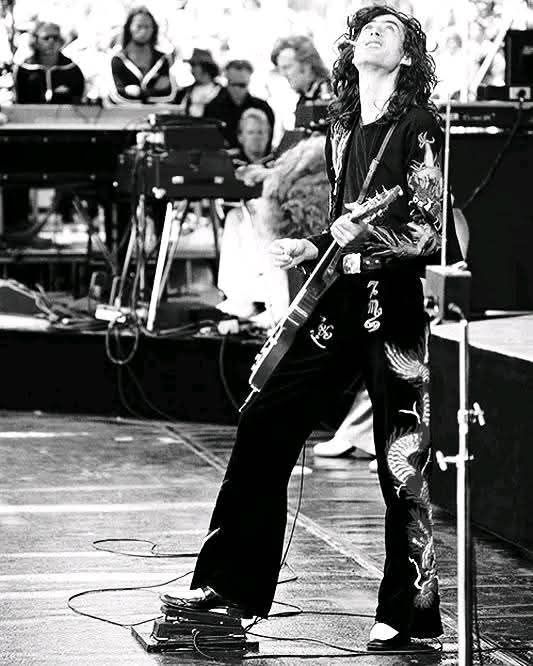 Jimmy Page ステージ衣装　ボトムス　LED ZEPPELIN What do you think about Jimmy's stage wear style in Led Zeppelin?