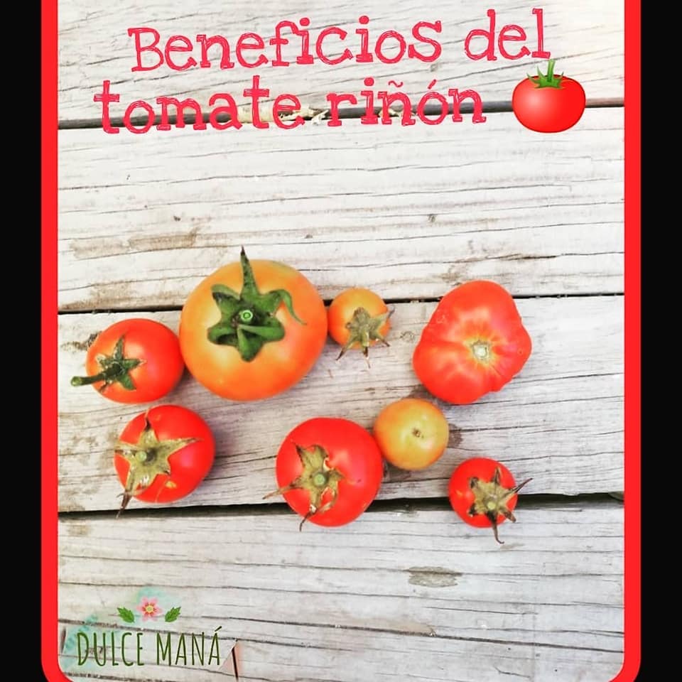 Dulce Maná - Sabías que... 🤔 El tomate riñon tiene... | Facebook