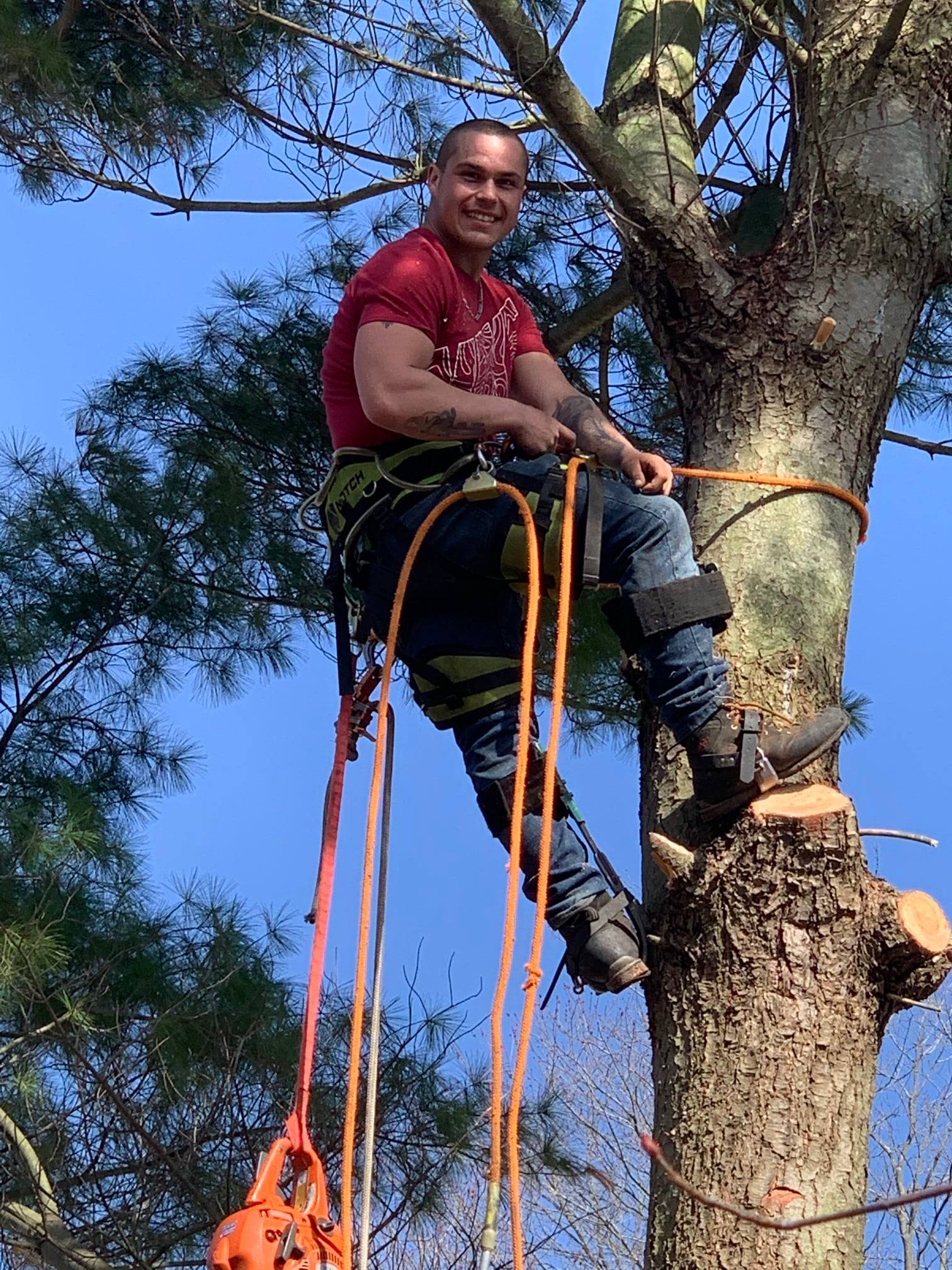 RV Tree LLC | Fruitport MI