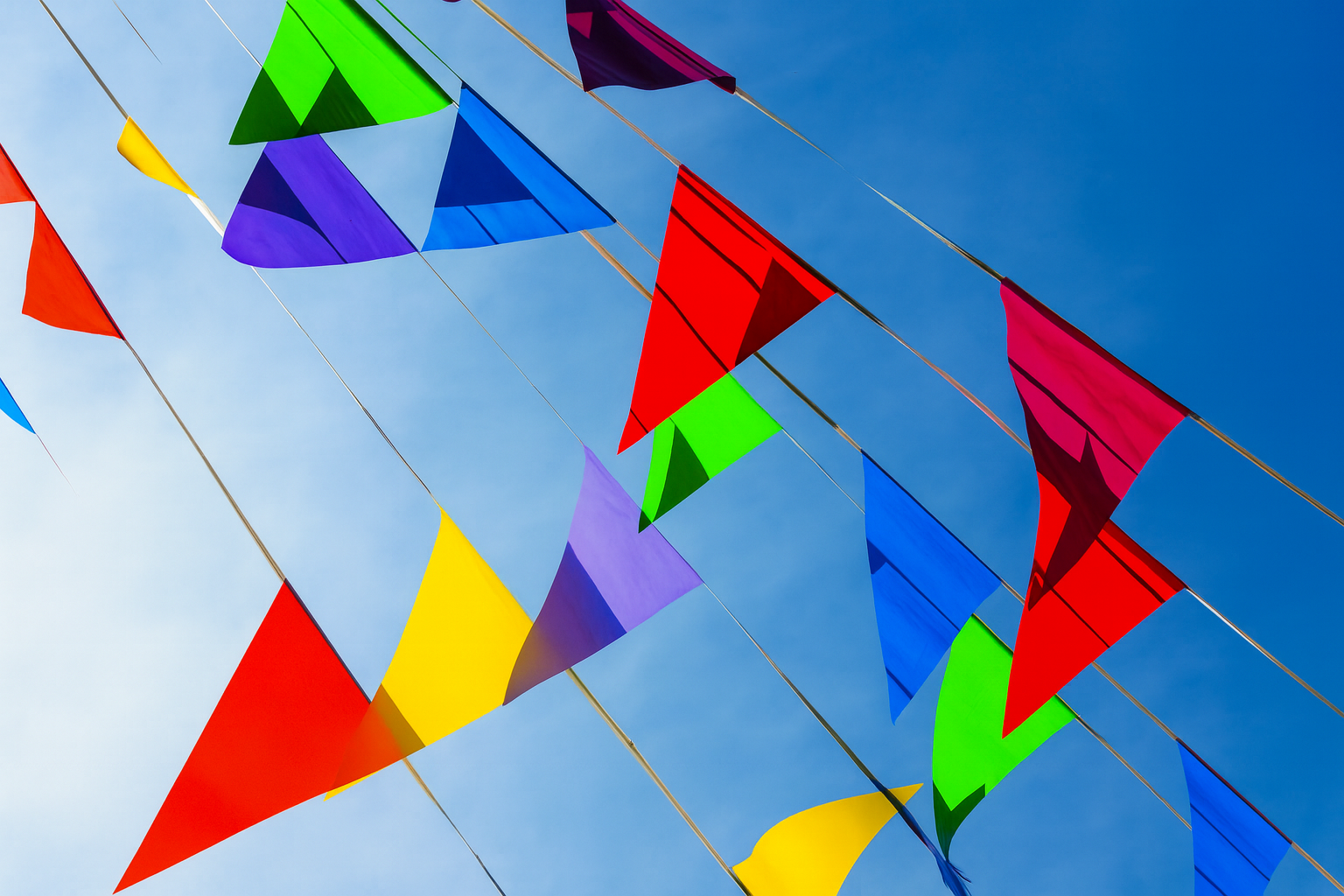 Spring Fair
