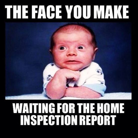 Bayside Lifestyles Building & Pest Inspections - Who else makes this ...